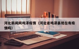 河北新闻网鸡泽疫情（河北省鸡泽县现在有疫情吗）