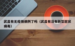 武昌有无疫情病例了吗（武昌有没有新型冠状病毒）