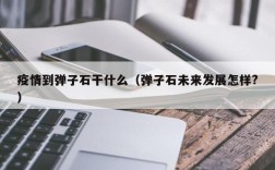 疫情到弹子石干什么（弹子石未来发展怎样?）