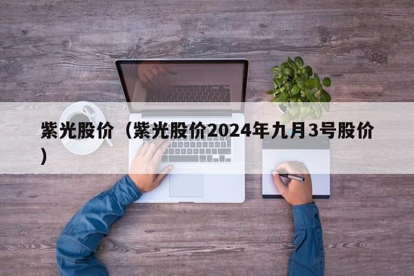 紫光股价（紫光股价2024年九月3号股价）-图1